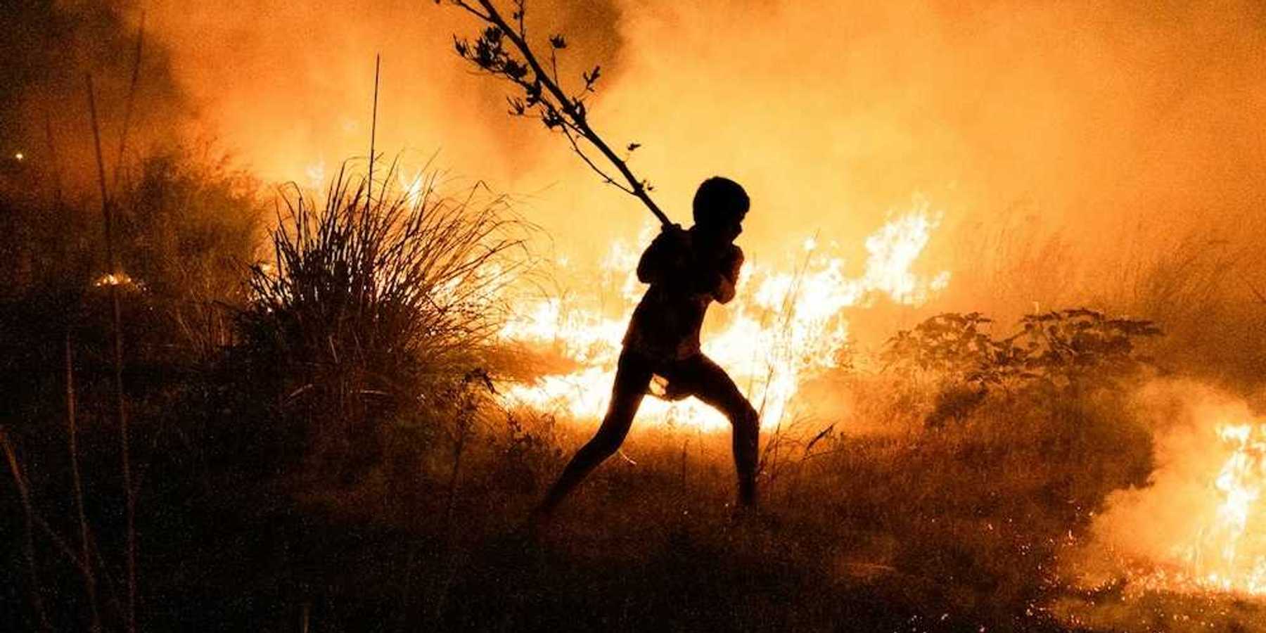 Boy fights wildfire by beating flames with a tree limb