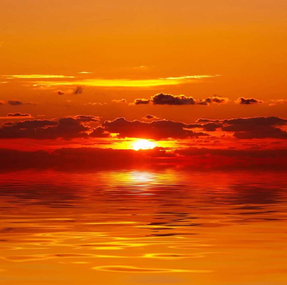 A surge of marine heat waves threatens to scramble ocean life