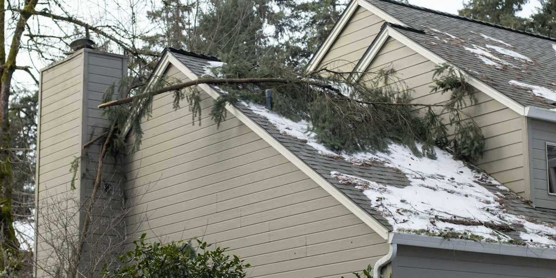 Broken tree limbs from winter storm on roof of residence
