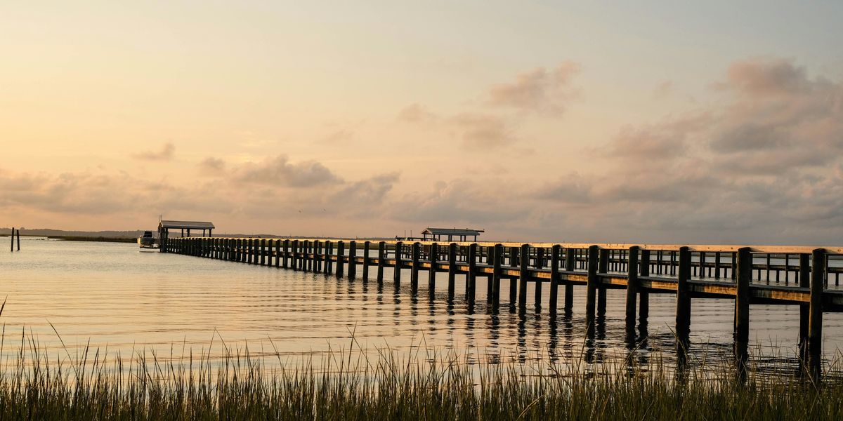 brown wooden dock on body of water during daytime.