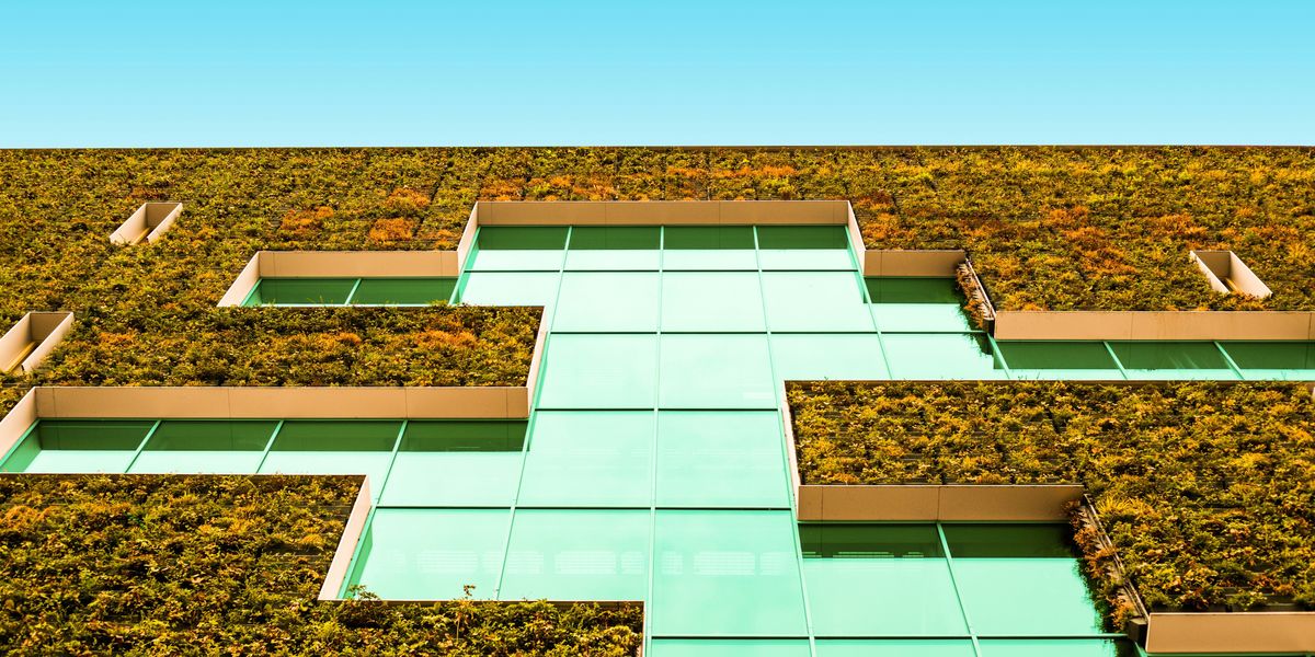 building with vegetation wall.