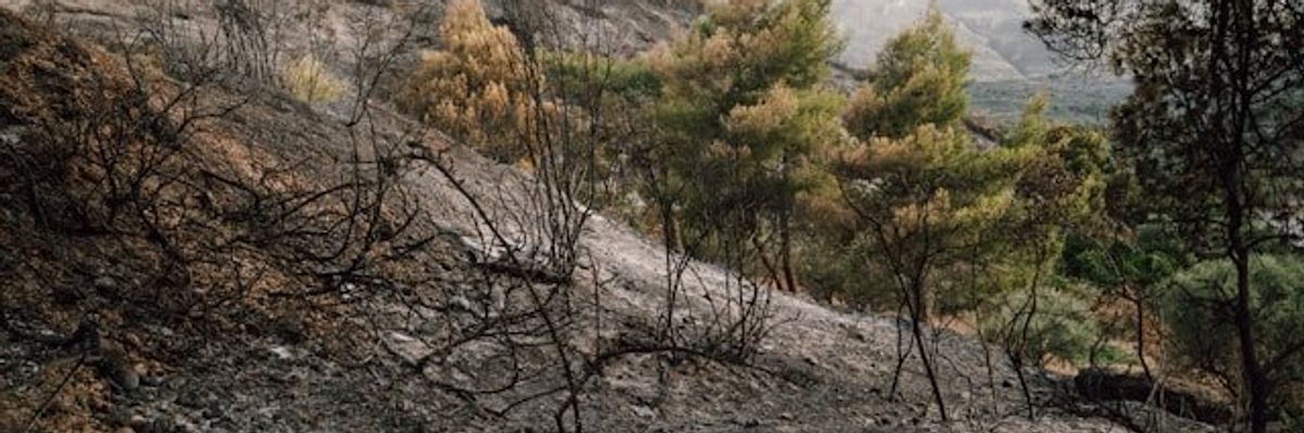 Burned hillside with mountains in the background