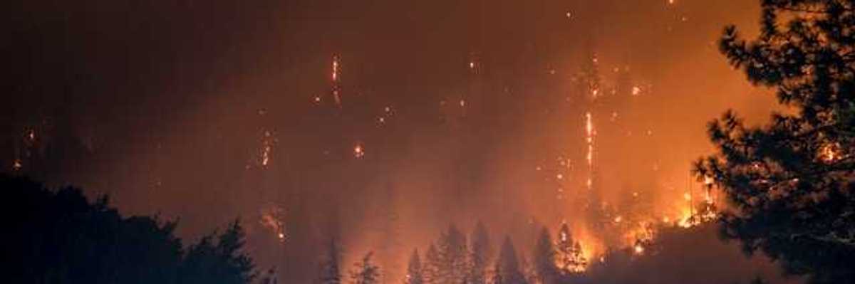 Burning forest at night