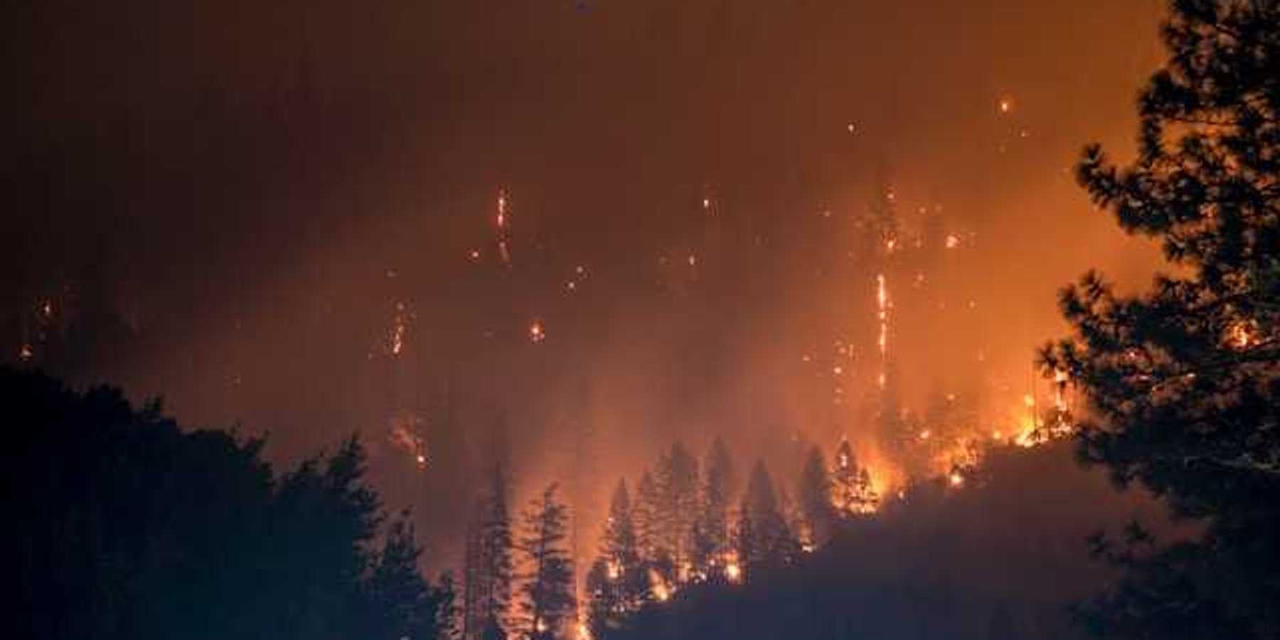 Burning forest at night