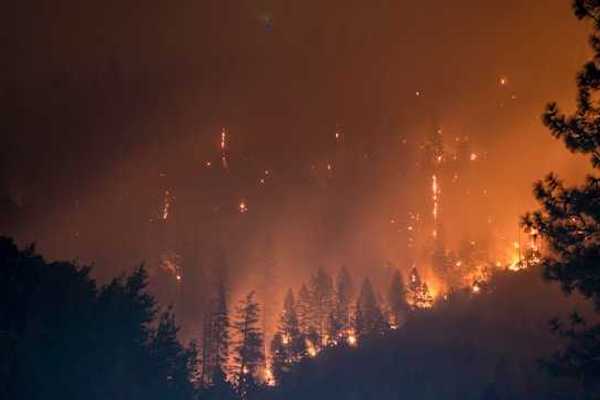 Burning forest at night