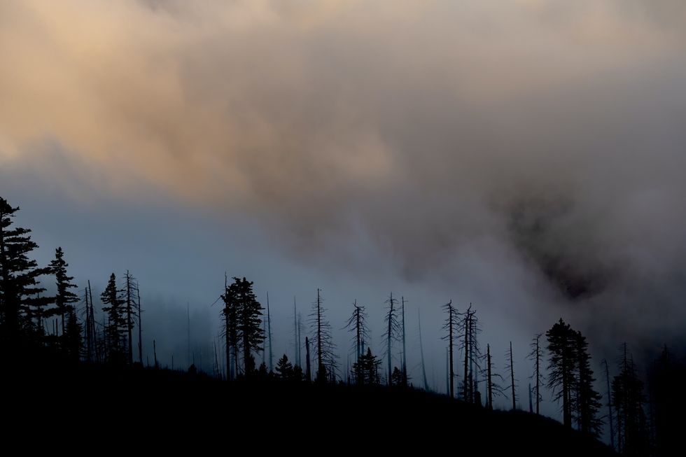 How does wildfire smoke affect long-term health? Researchers are trying to find out
