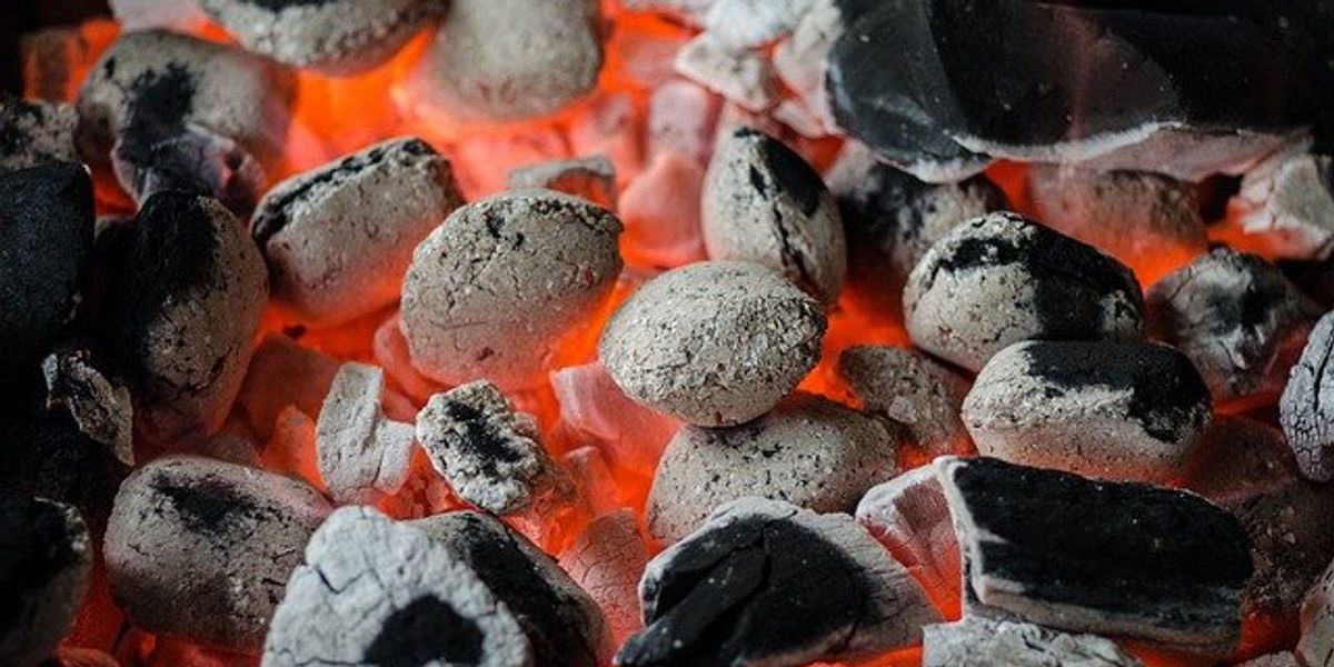 charcoal bbq climate deforestation
