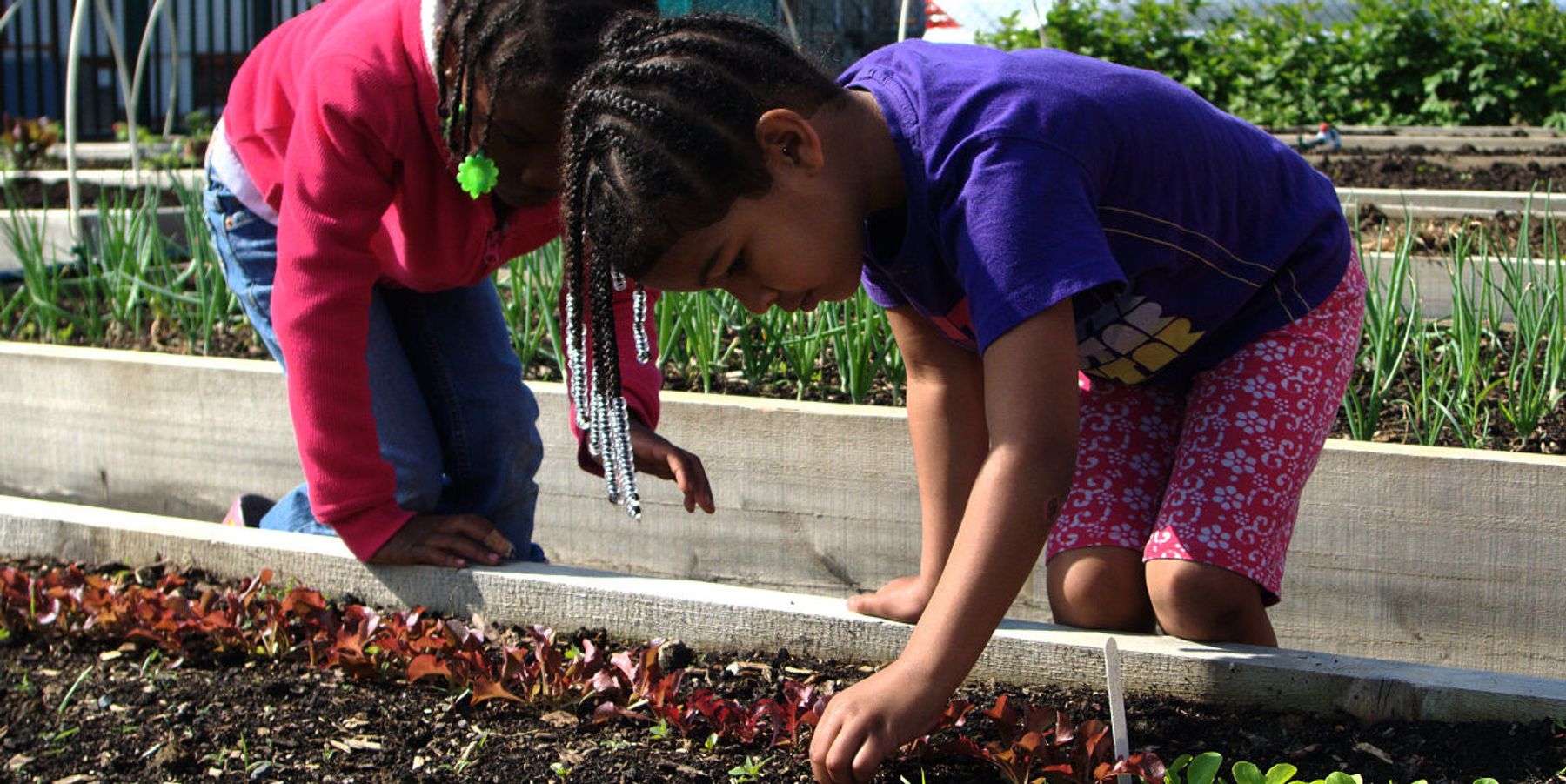 Children gardening
