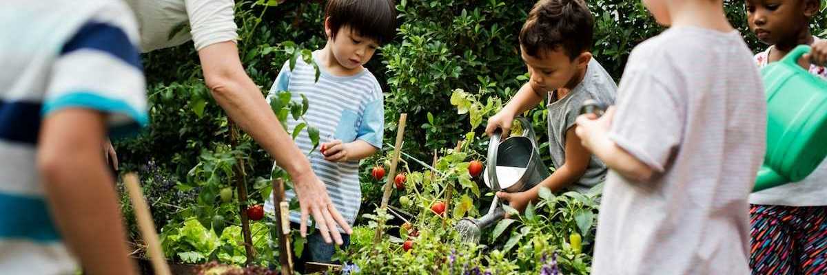 Children under adult tutelage working on community gardening