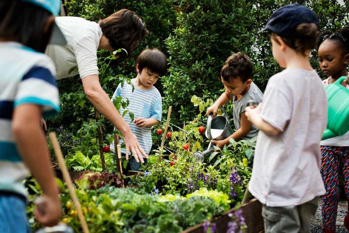 Children under adult tutelage working on community gardening