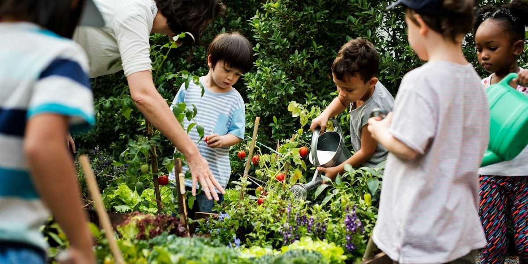 Children under adult tutelage working on community gardening