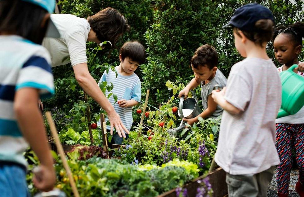 A green oasis grows in North Philadelphia’s heat island