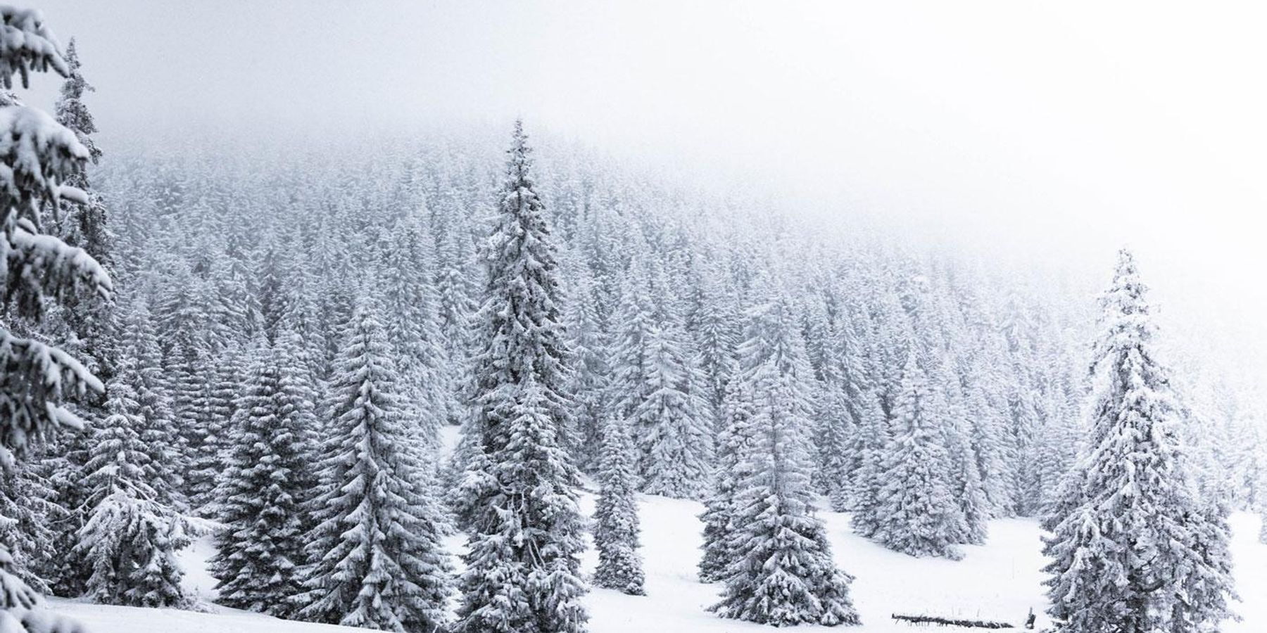 Christmas good news tale