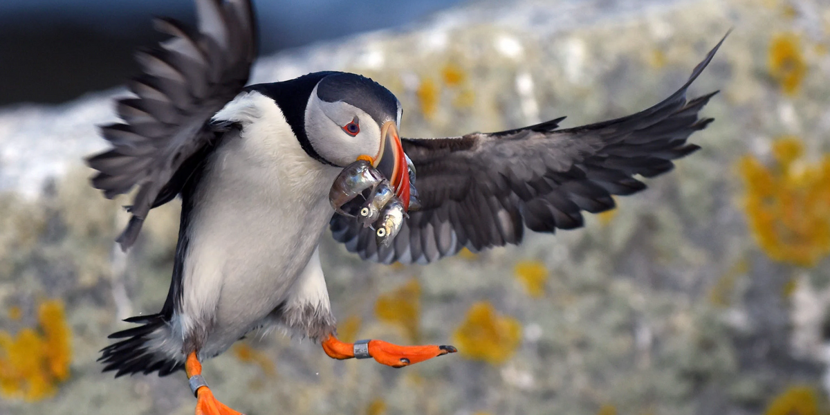 climate change biodiversity 