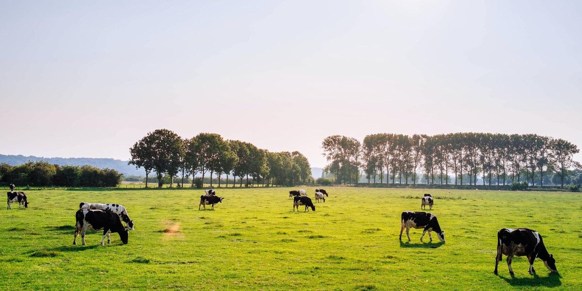 Climate change farming livestock