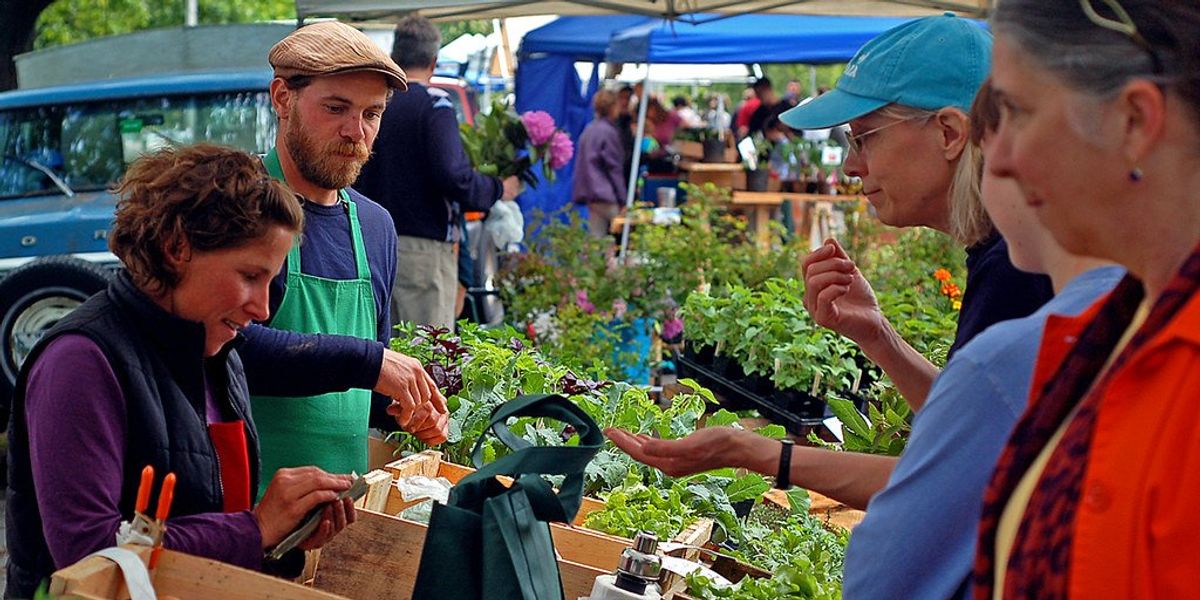 climate-resilient food systems