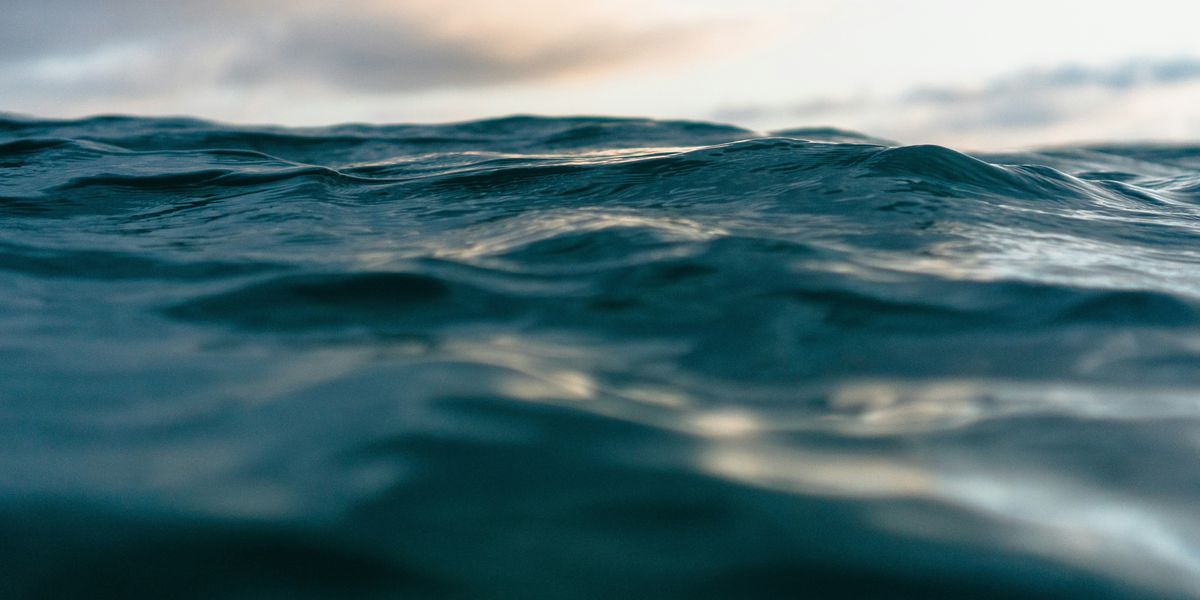close-up photo of body of water.