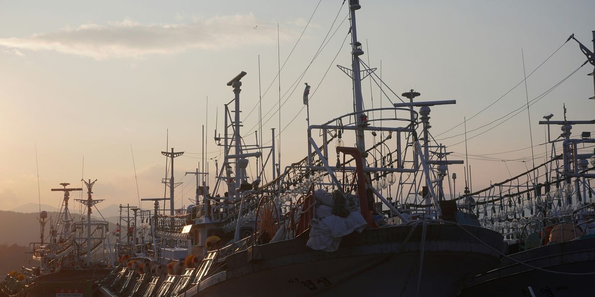 Commercial fishing boats at dock.
