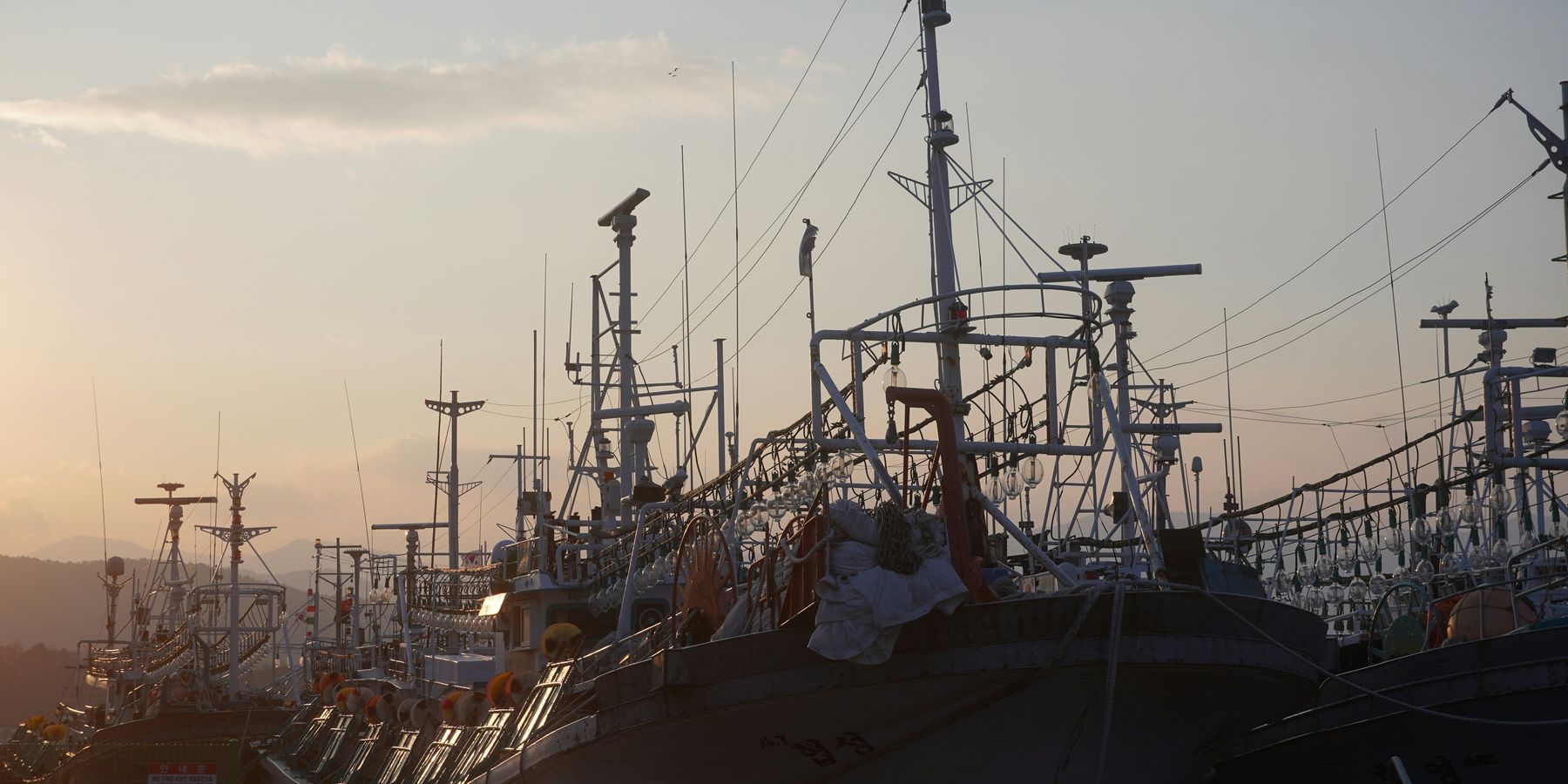 Commercial fishing boats at dock.