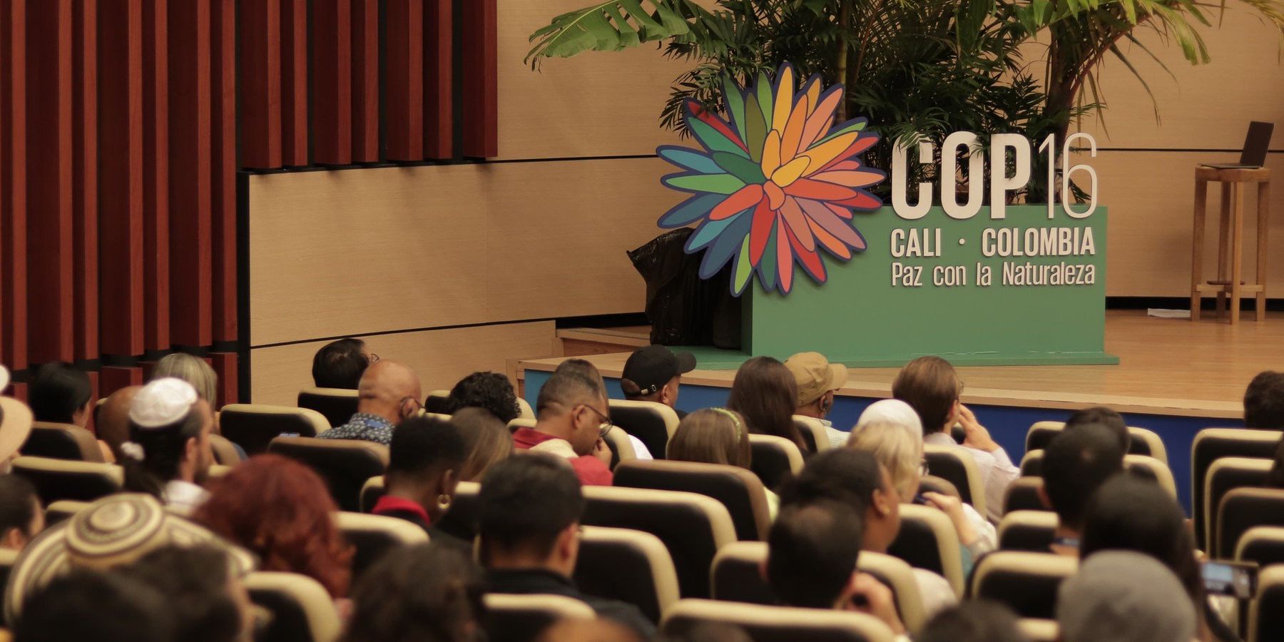 COP16 UN biodiversity