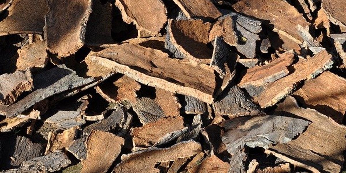 cork bark
