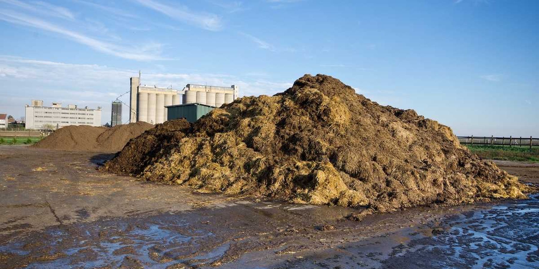 Cow manure on pile on the farmland