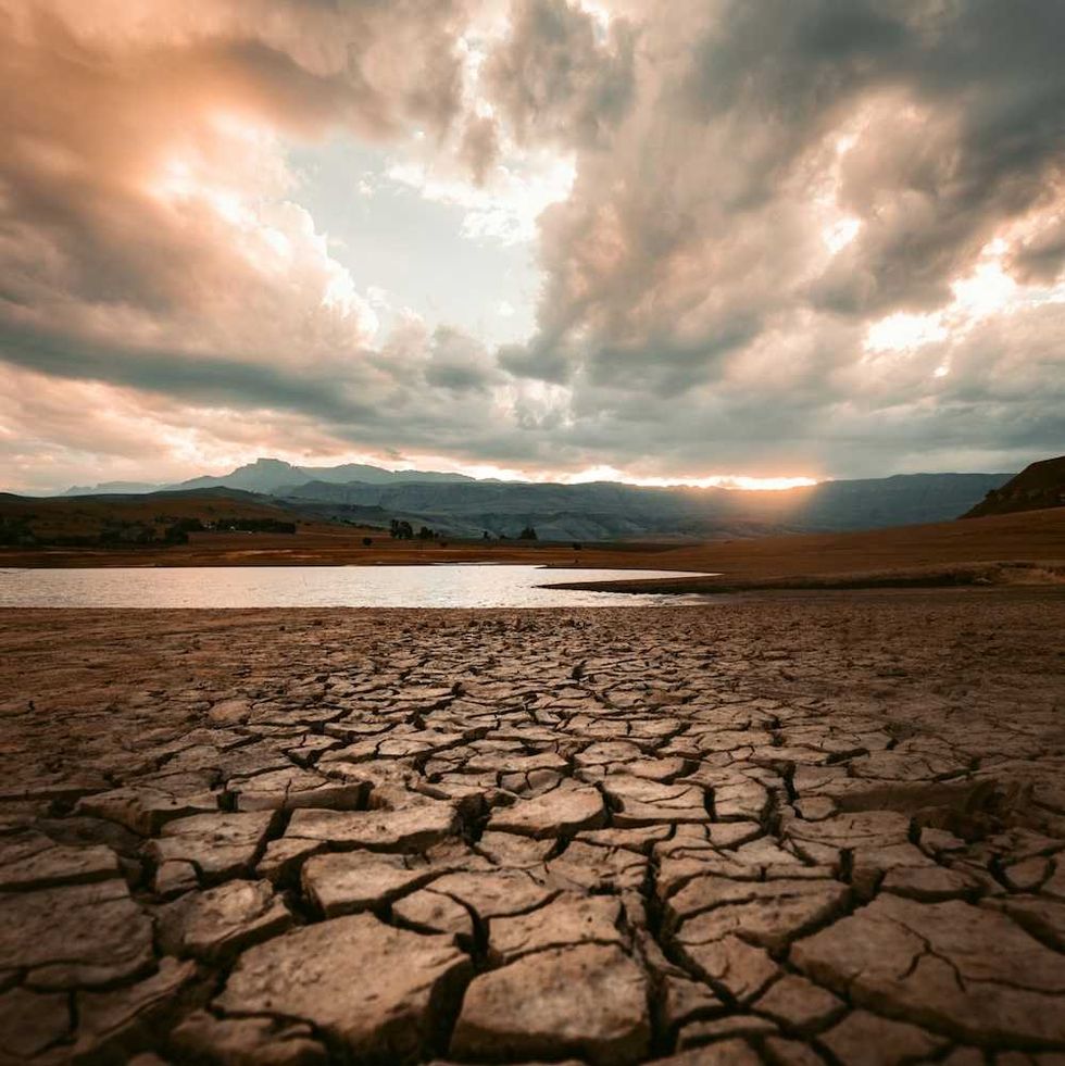 Track how extreme this year’s El Nino could get