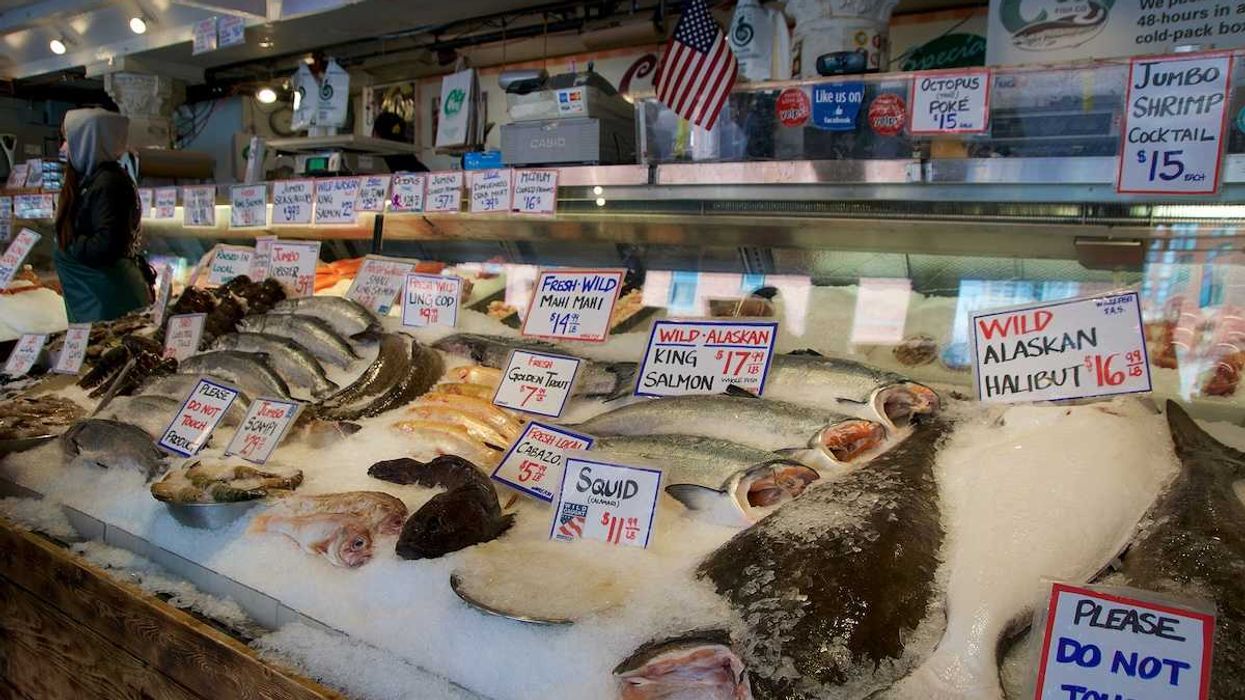 How climate change is causing ‘the gentrification of seafood’