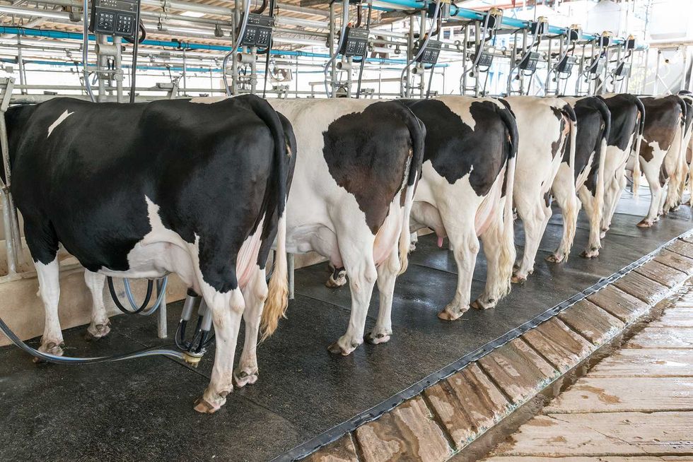 Lawsuit seeks answers on EPA’s abandoned CAFO pollution panel