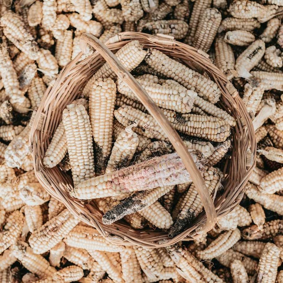 How climate change and food insecurity could fuel conflicts