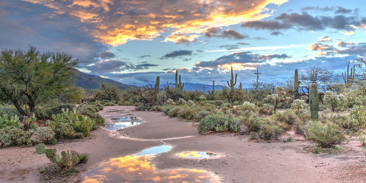 dessert landscape