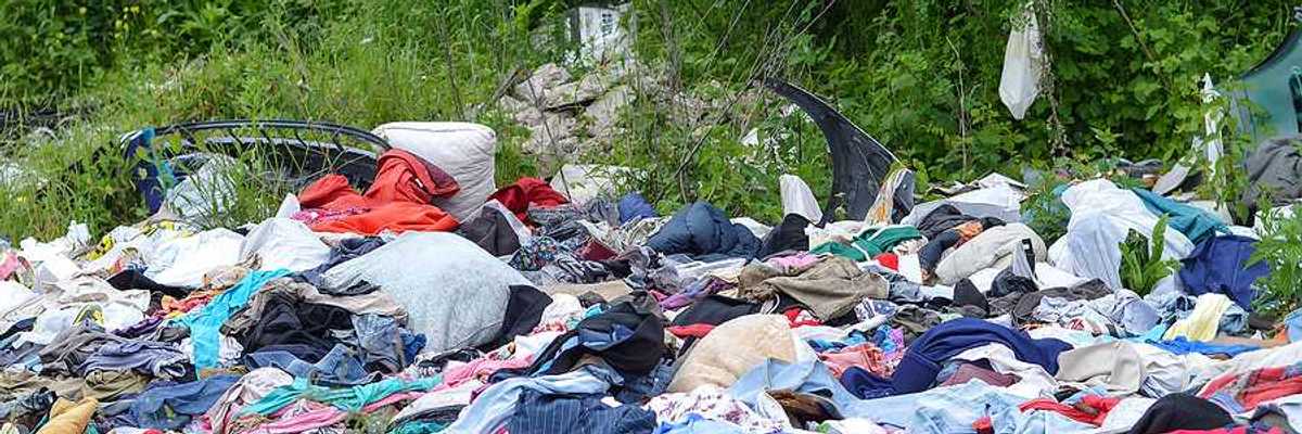 Discarded clothing amongst trees and brush in a rural setting
