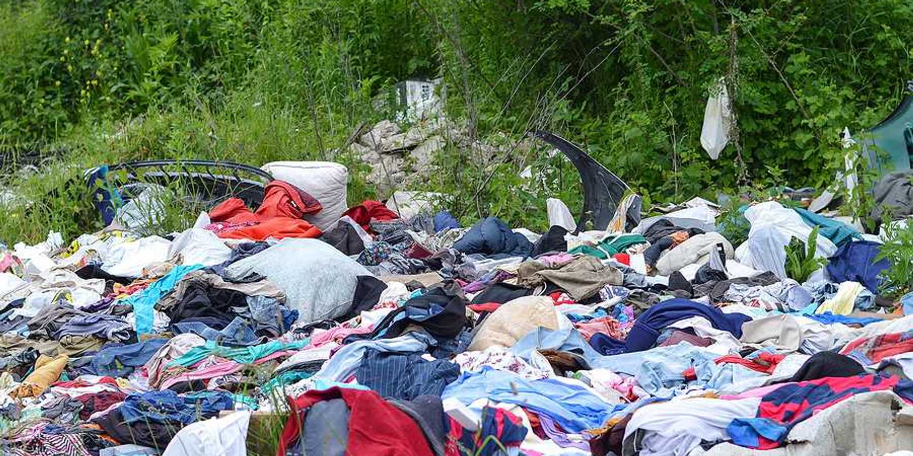 Discarded clothing amongst trees and brush in a rural setting