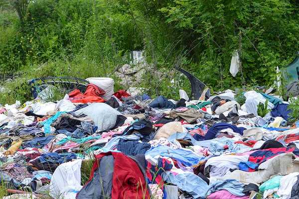 Discarded clothing amongst trees and brush in a rural setting