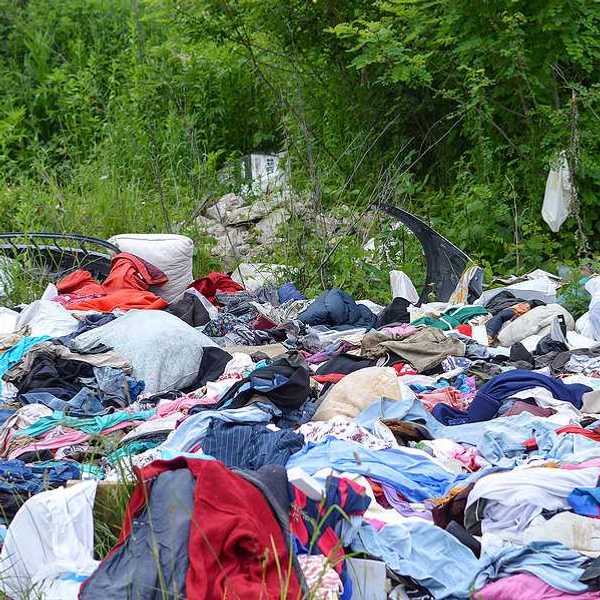 Discarded clothing amongst trees and brush in a rural setting