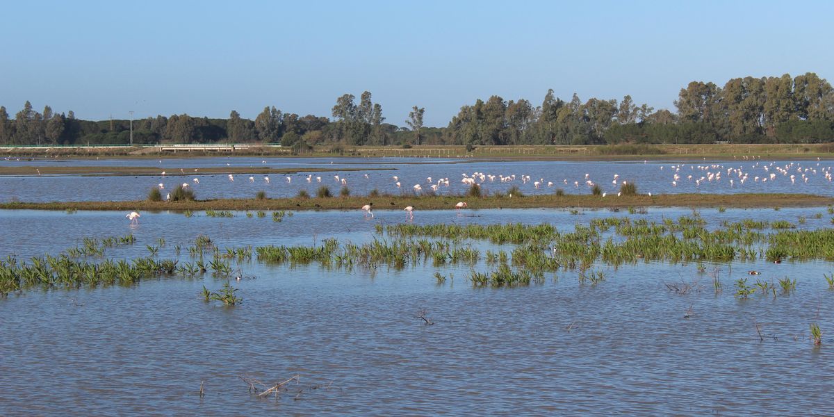 doñana national park lake wetlands biodiversity climate 