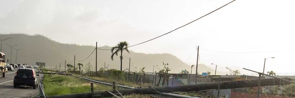 Downed powerlines from storm damage