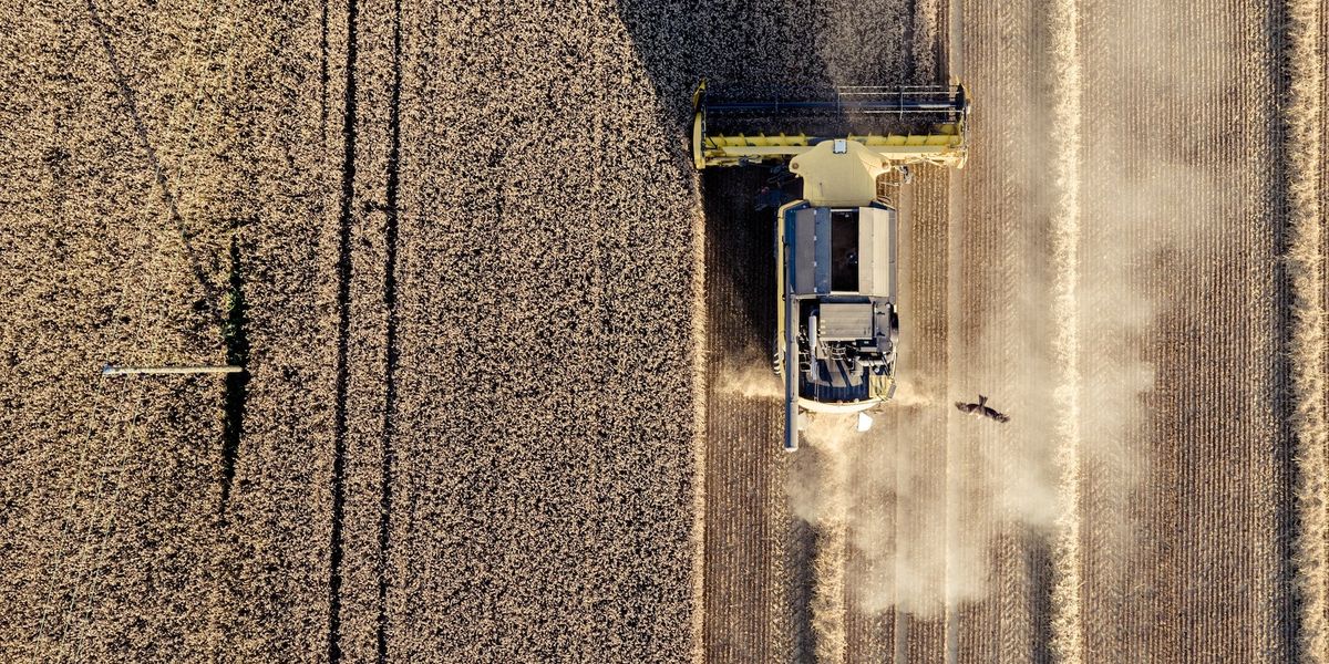 drought climate farming 