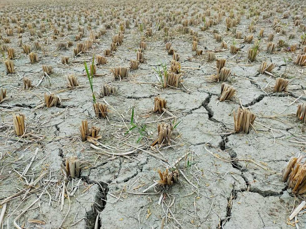 It’s the middle of winter, but drought covers the U.S. That’s concerning.