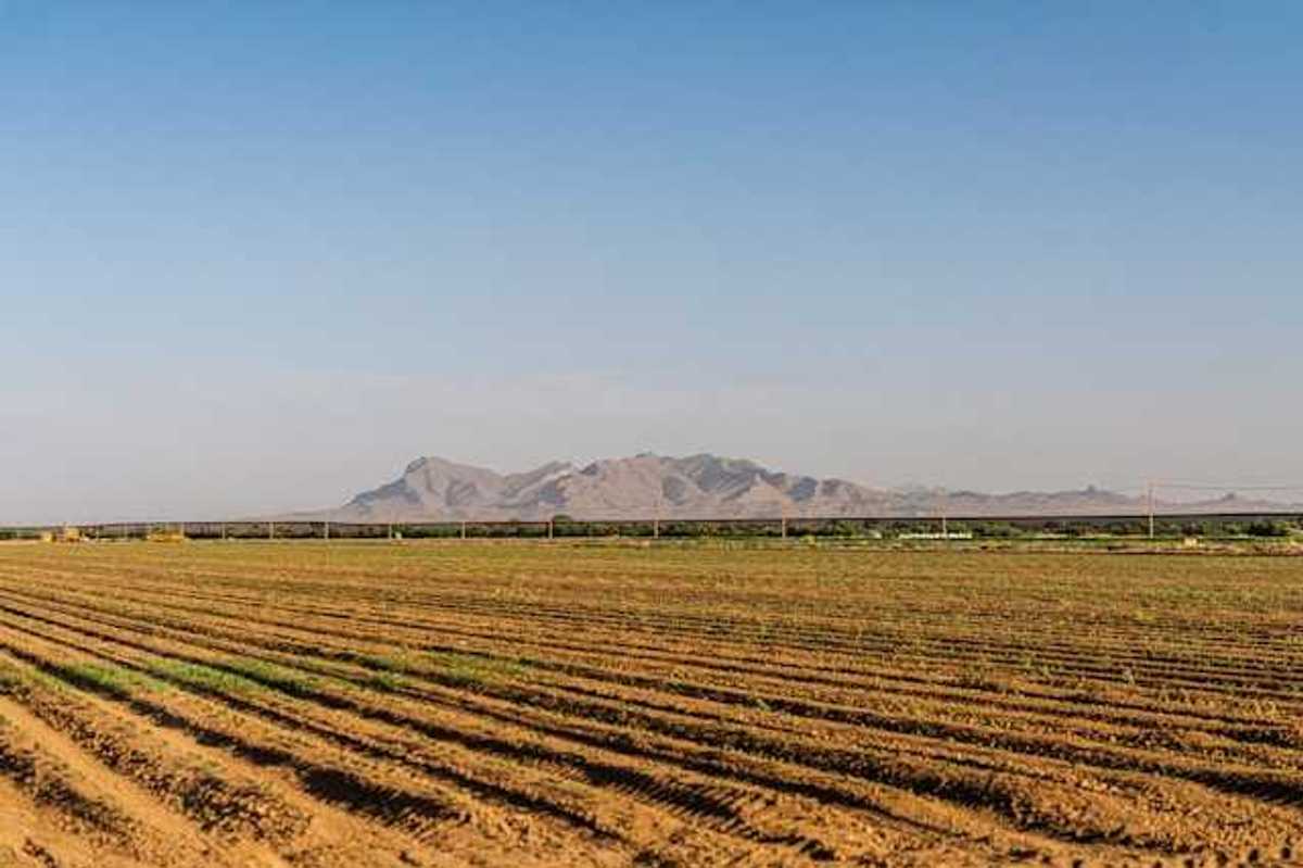 Dry farm fields with mountains in the background
