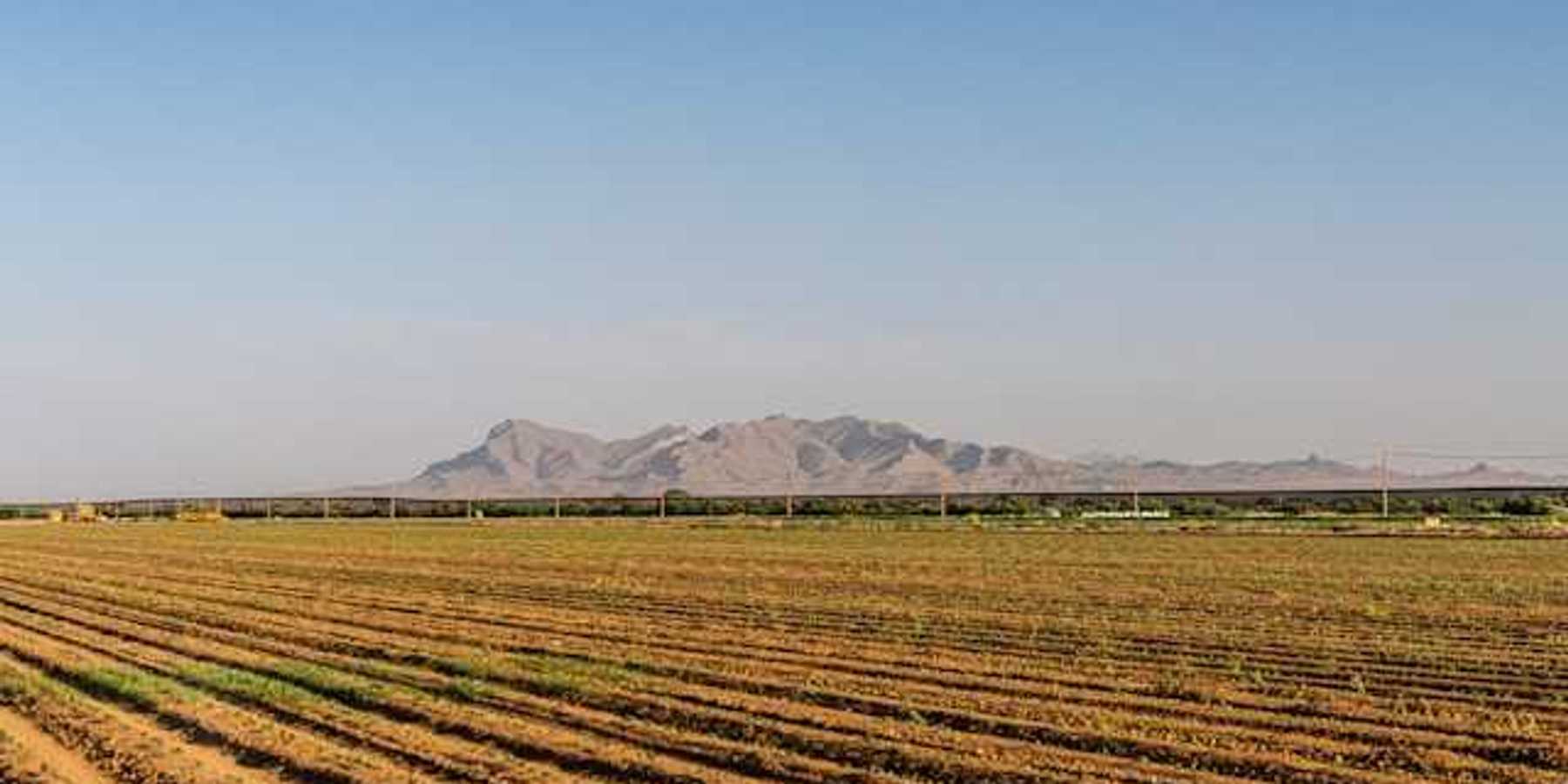 Dry farm fields with mountains in the background