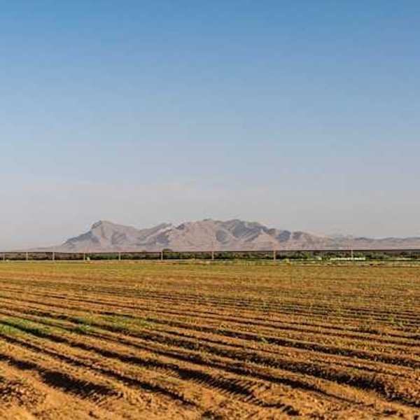 Dry farm fields with mountains in the background
