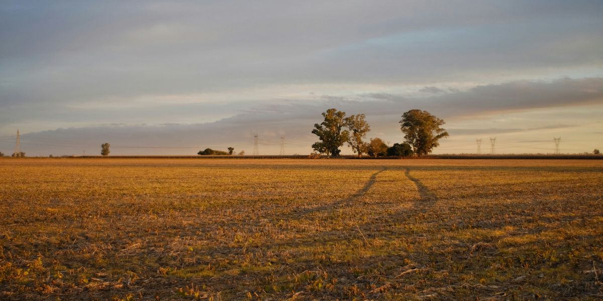 Dry field with tracks leading toward a farm house on the horizon in fading evening sun.