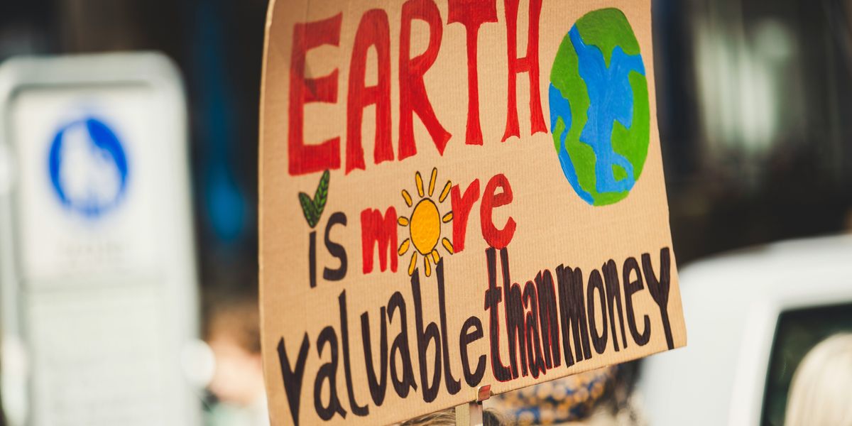 Earth is more valuable than money protest sign.