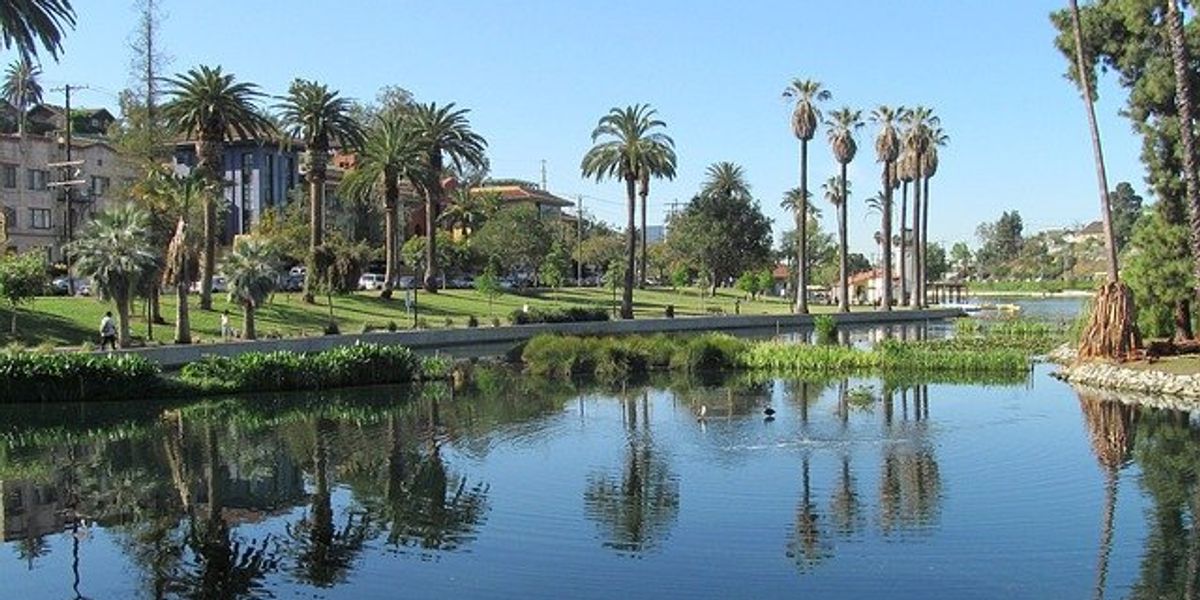 Echo park in Los Angeles with trees and water