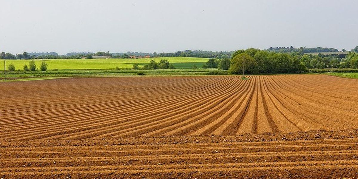 Ecoacoustics evaluate soil health