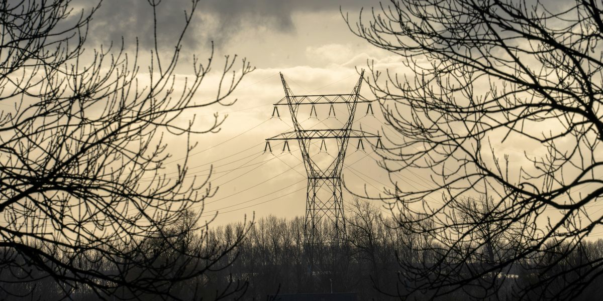 electrical tower in woods
