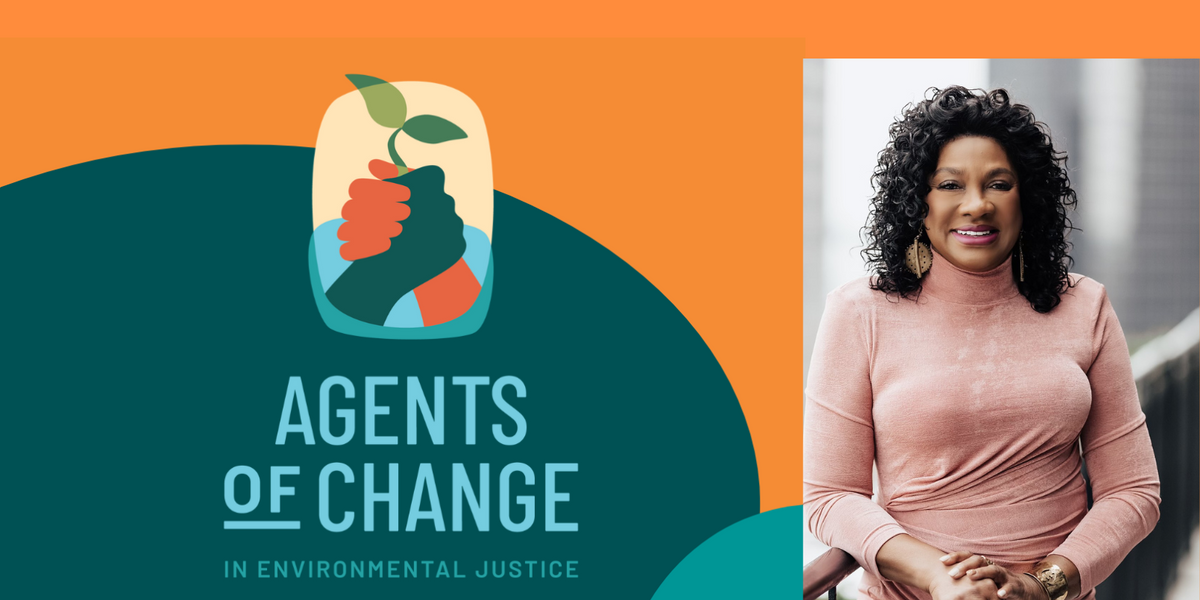 environmental justice