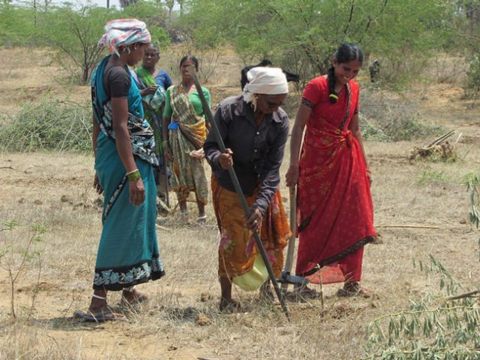 Combating climate change? Combat land degradation, says UNCCD chief