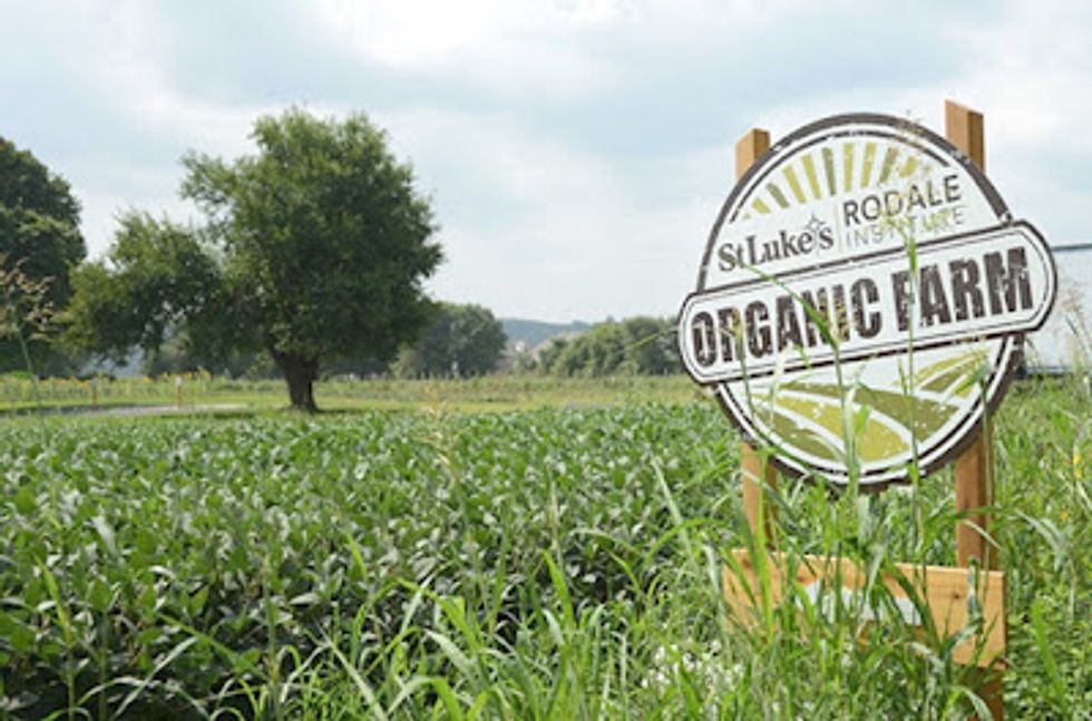 Jeff Moyer: We need to focus on regenerative organic agriculture to improve human health